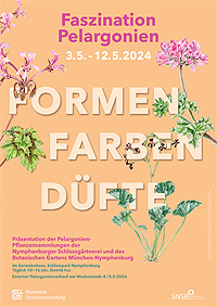 Bild: Ausstellungsplakat »Faszination Pelargonien. Formen. Farben. Düfte.«
