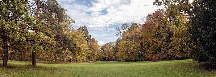 Bild: Der Schlosspark im Herbst